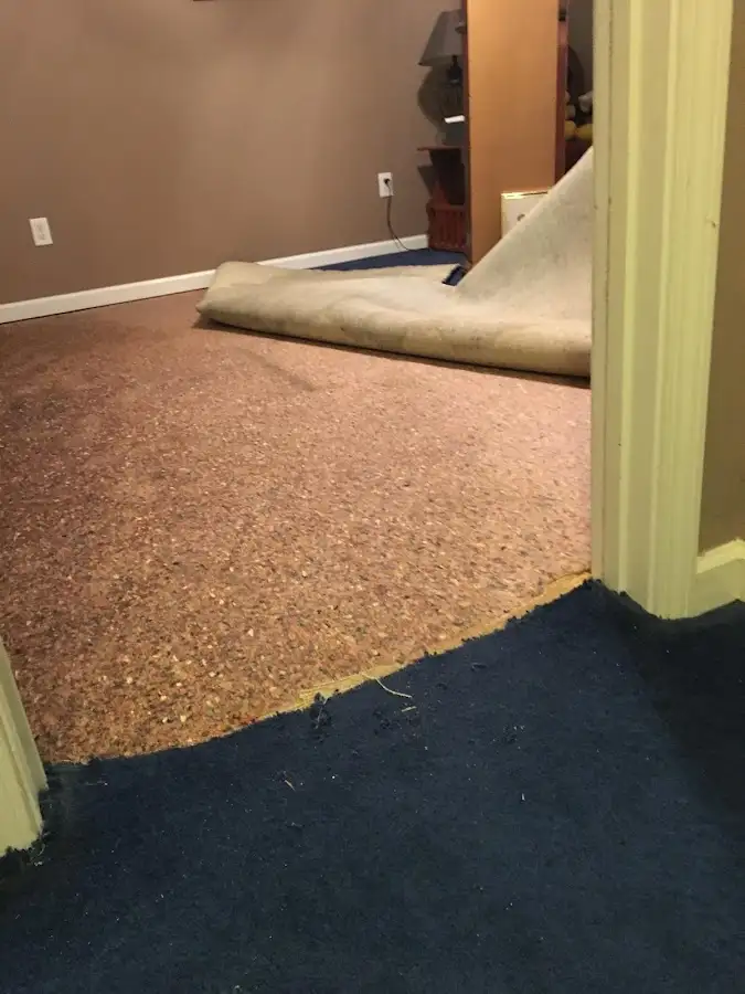 Carpet pad removal revealing water damage during Water Mitigation Services in Forest Park
