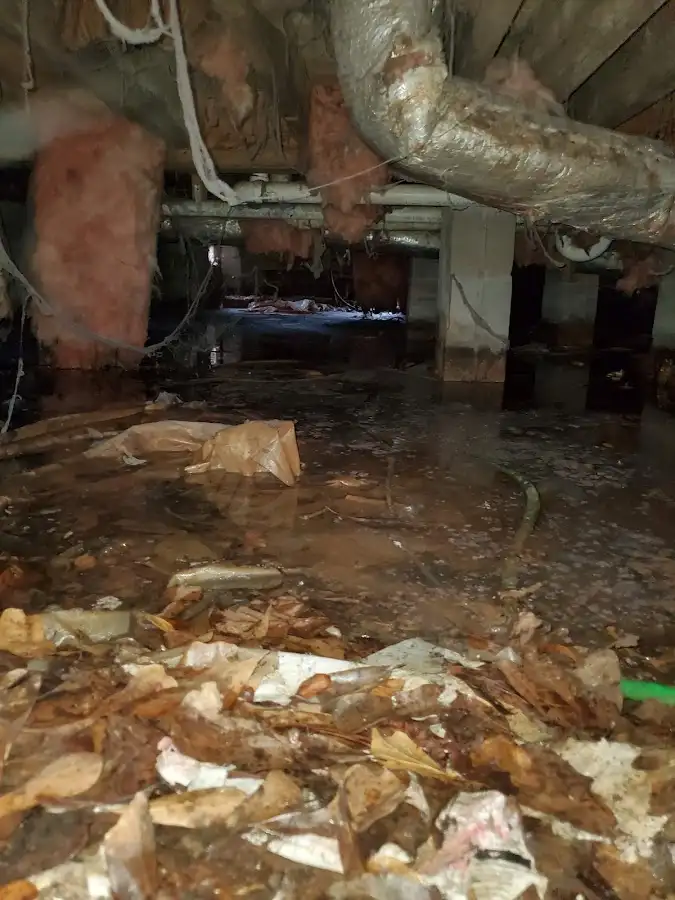 Crawl space flood assessment for Commercial Water Damage Restoration in Forest Park